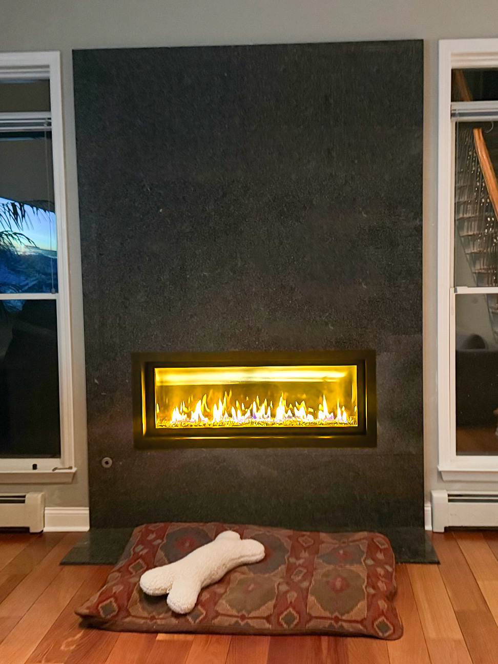FPX 4415 Linear Gas Fireplace